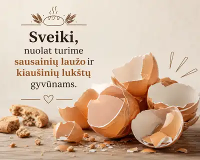 Turime sausainių ir kiaušinių lukštų gyvūnams - kepykla - Gyvulininkystė