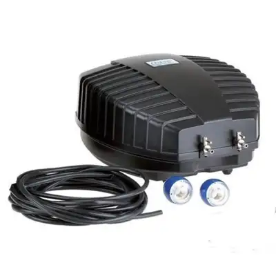 Tvenkinių orapūtės - Žuvininkystė (Klaipėda)