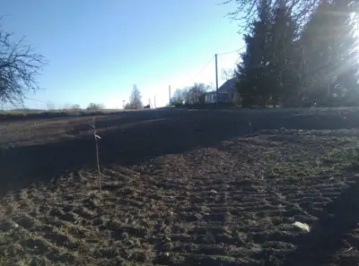 Uogininkystės ūkis 