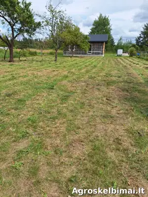 Žolės, vejos priežiūra