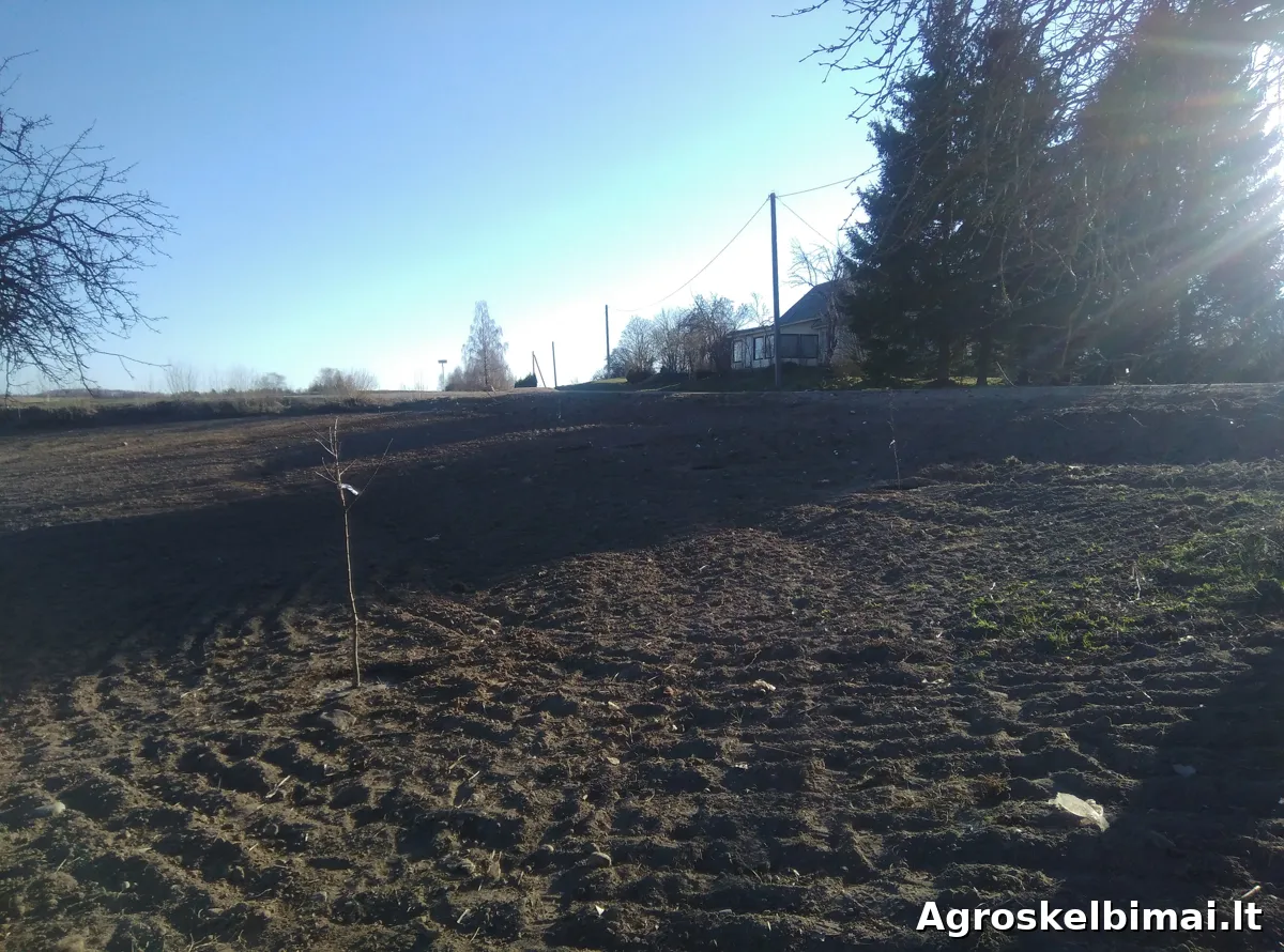 Uogininkystės ūkis 