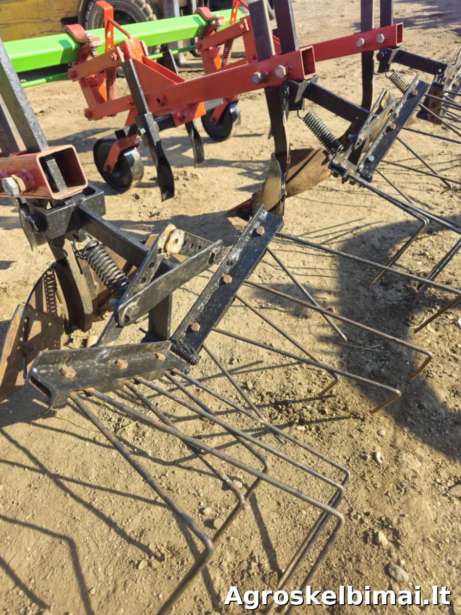 Vagotuvai - ravėtuvai 5 k. - nuotrauka 6