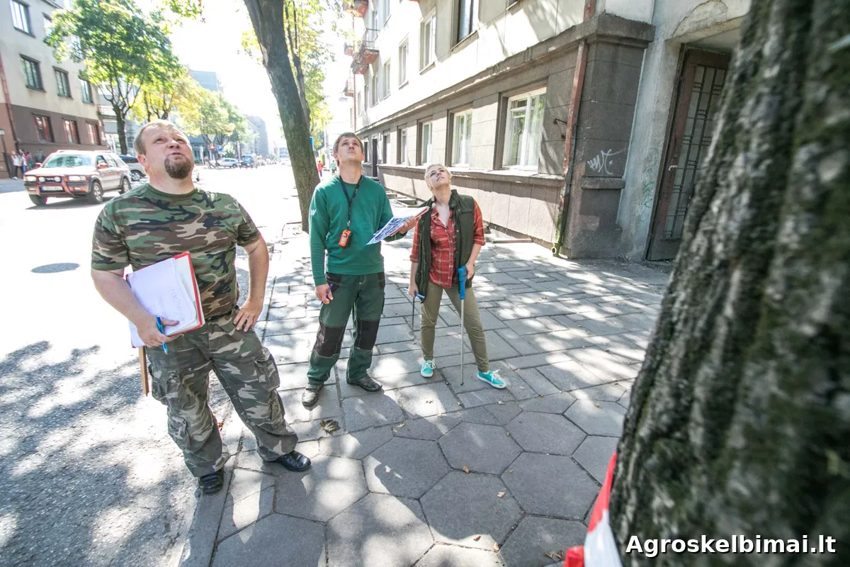 Želdinių inventorizavimas, ekspertizė - nuotrauka 3