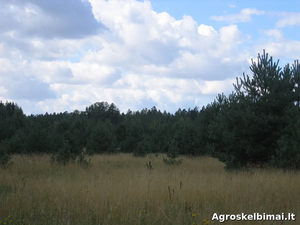 Žemės ūkio paskirties sklypas Lekėčių kaime - Nekilnojamasis turtas, Šakiai