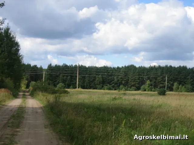 Žemės ūkio paskirties sklypas Lekėčių kaime - Nekilnojamasis turtas nuotrauka 3
